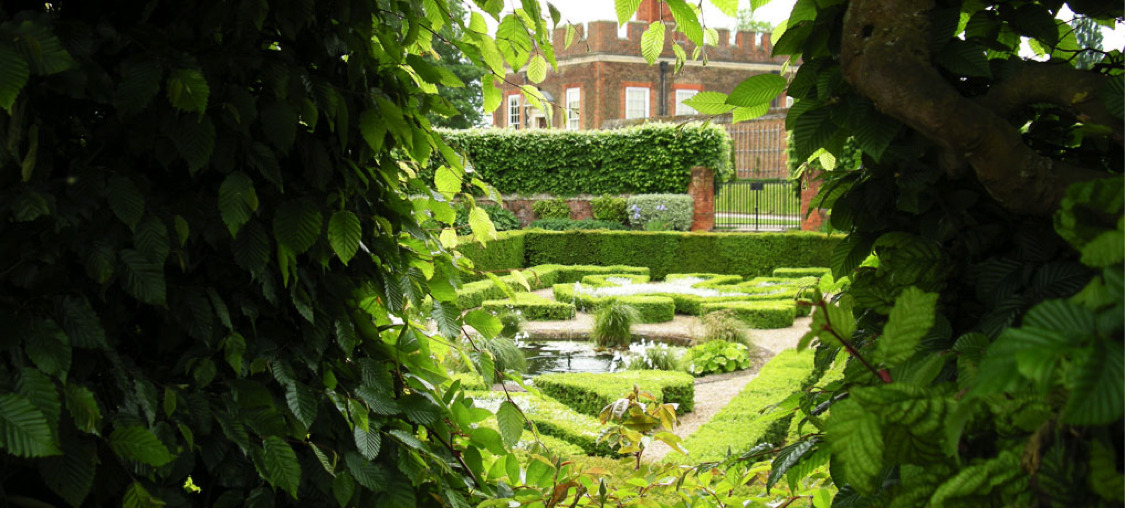 A view of Wolsey’s Hampton Court gardens. The garden shown is the Pond Garden